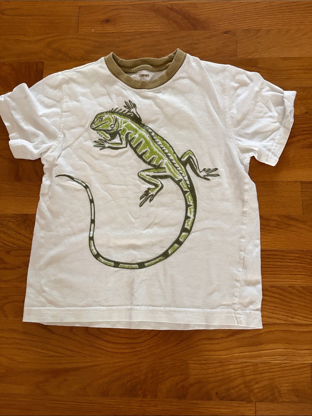Lizard Shirt